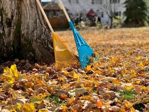 Storm Debris Cleanup: What to Do in the First 48 Hours