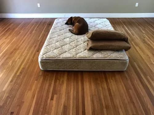 Furniture & Mattress Removal