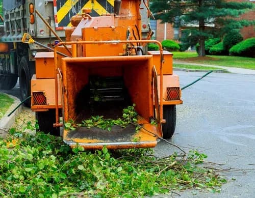 Yard Waste & Storm Debris Removal